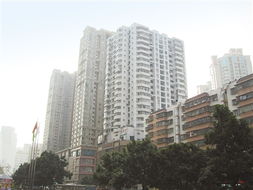 兩地車牌政策調(diào)整 珠海樓市迎短暫波動 替代政策或助力實(shí)業(yè)投資